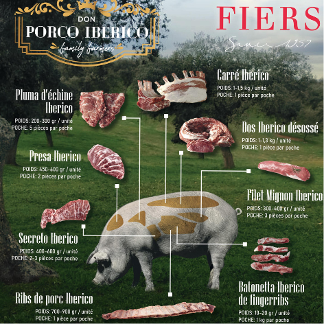 Iberico